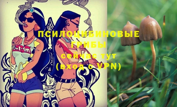 apvp Пролетарск