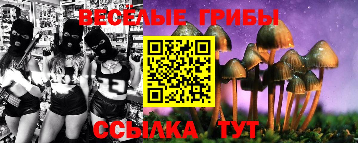 Псилоцибиновые грибы Psilocybe  Рузаевка  Псилоцибиновые грибы Psilocybe 