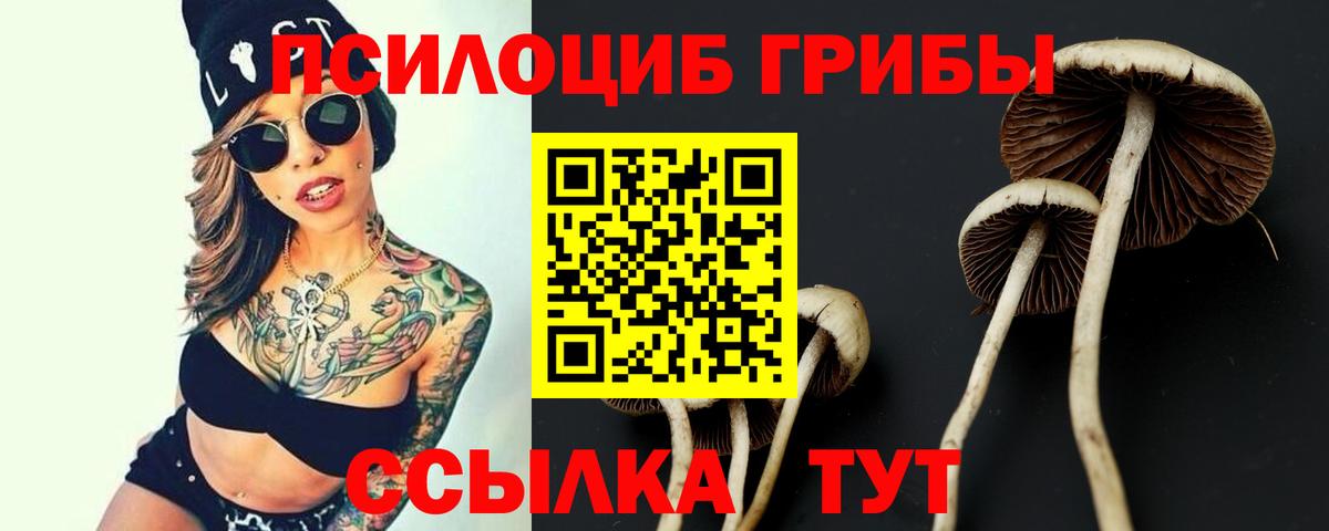 Галлюциногенные грибы GOLDEN TEACHER  Вход с VPN  наркота  Рузаевка 